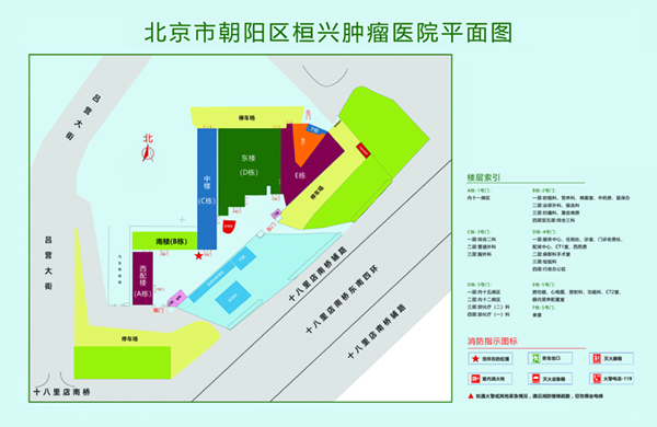 用力,插好舒服视频北京市朝阳区桓兴肿瘤医院平面图